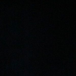 Meet your Posher, Ella